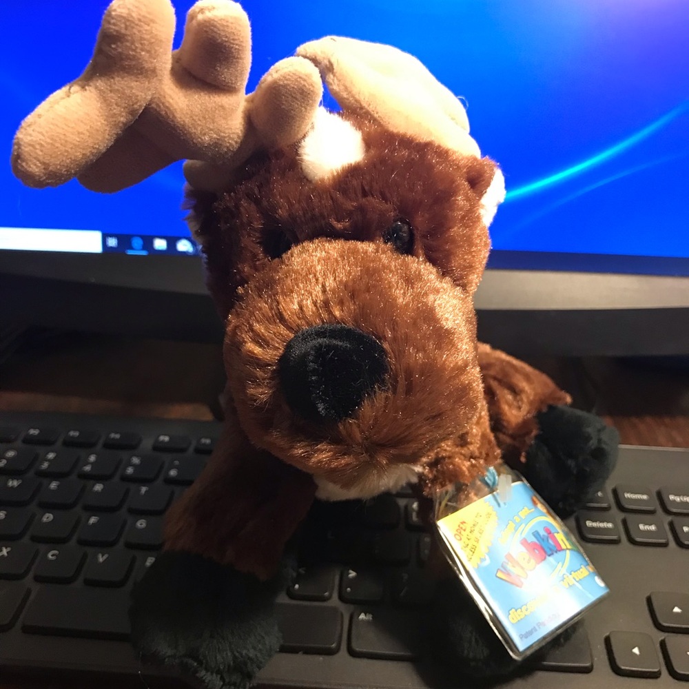 Webkinz moose
